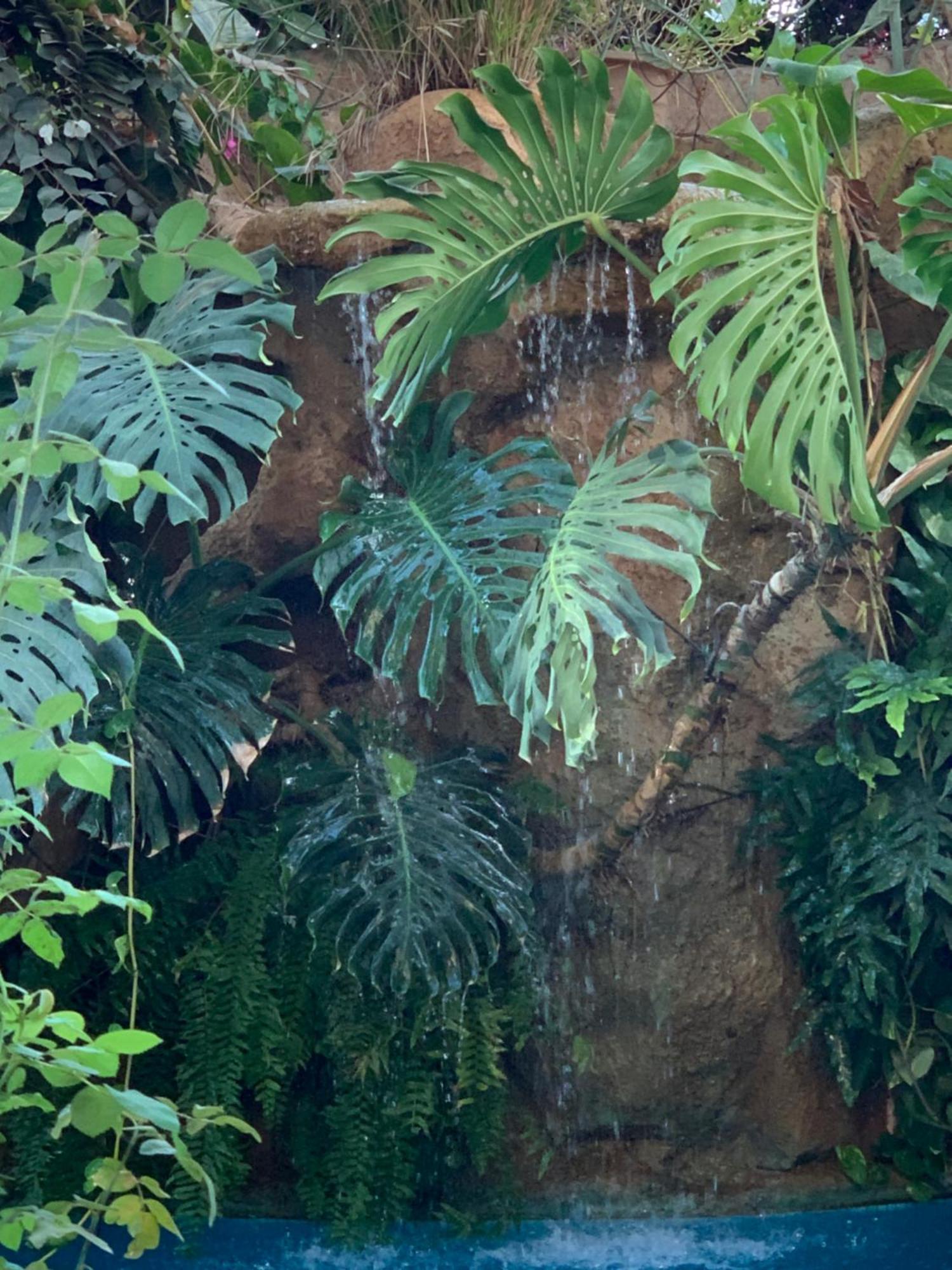 Tropical Oasis Ouakam Exterior foto