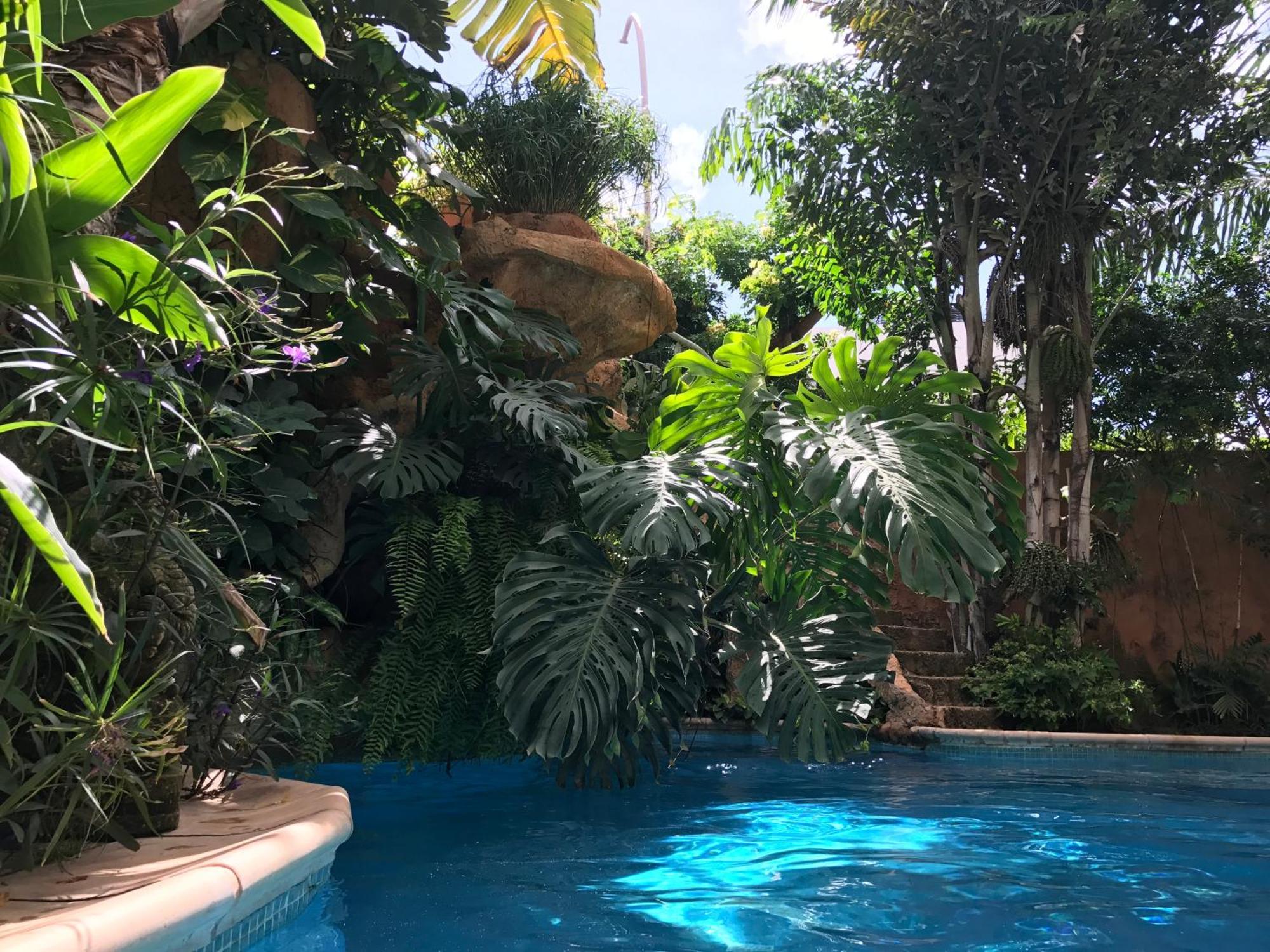 Tropical Oasis Ouakam Exterior foto