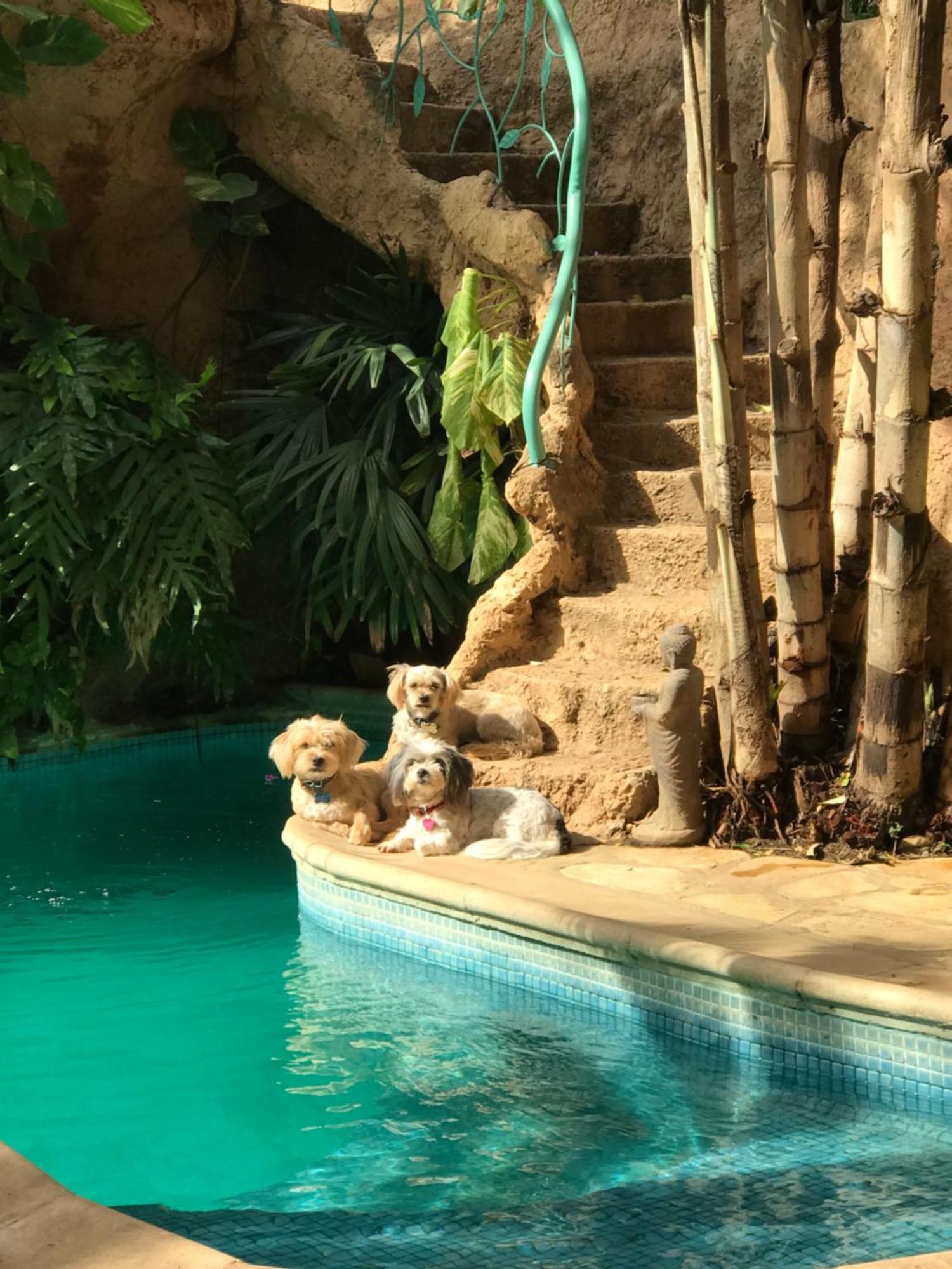 Tropical Oasis Ouakam Exterior foto